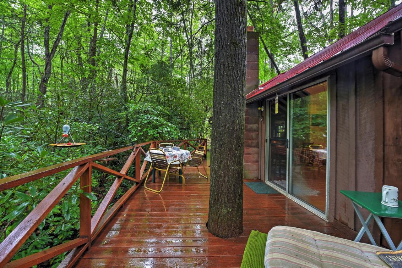 Serene Creekside Cottage Near Asheville Fire Pit Candler Extérieur photo